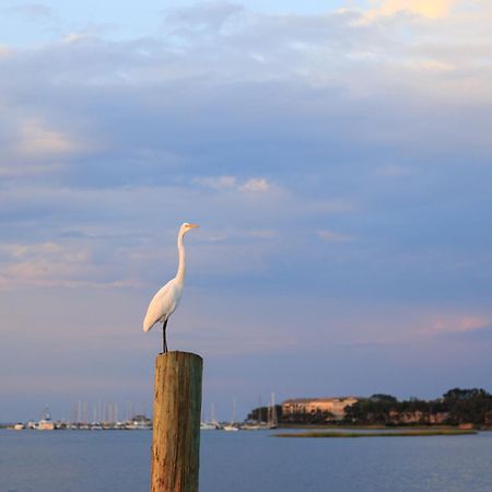 Stoney Creek Villa 299 Hilton Head Island Esterno foto