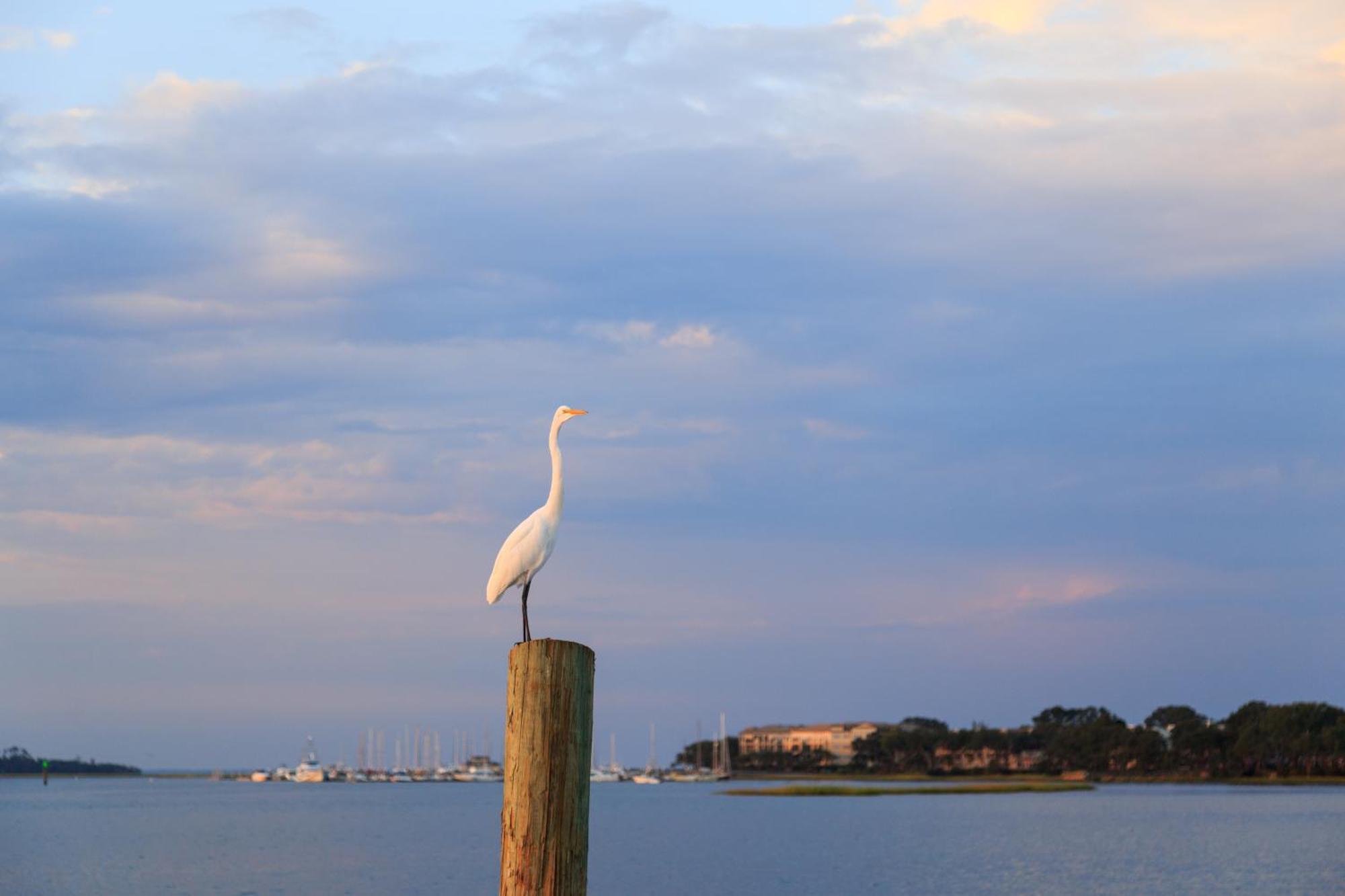 Stoney Creek Villa 299 Hilton Head Island Esterno foto