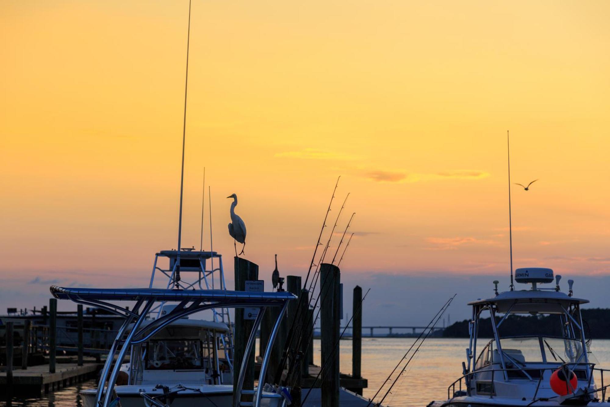 Stoney Creek Villa 299 Hilton Head Island Esterno foto
